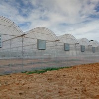 簡(jiǎn)易連棟大棚 蔬菜溫室大棚 花卉育苗溫室大棚外遮陽薄膜連體大棚